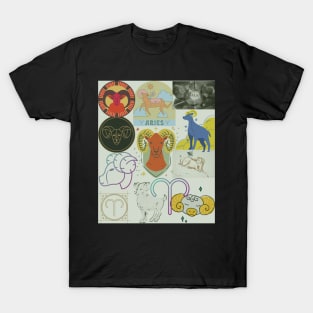 Zodiac Astrology T-Shirt